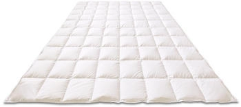KAUFFMANN Atelier Sanders warm 155x220cm