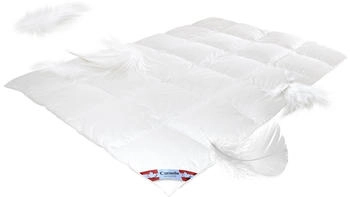 Bach's Bettenwelt Soft Feeling Daunen WG 3 200x200cm