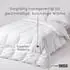 Homescapes Entenfeder-/Daunendecke 240x220cm (DP1308G)