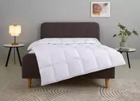OTTO home G&auml;nsedaunenbettdecke "Litrone, Bettdecke 135x200 cm, 155x220 cm,...