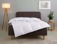 OTTO home G&auml;nsedaunenbettdecke "Litrone, Bettdecke 135x200 cm, 155x220 cm, 200x200