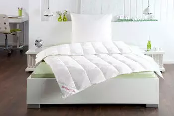 H&auml;ussling Swiss Royal leicht 200x200cm