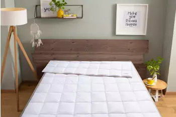 Balette Edition 140 Jahre leicht 200x220cm