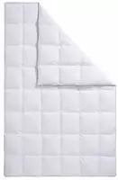 fj&ouml;dur Daunenbettdecke "Fee, Bettdecke 135x200, 155x220 cm und weitere Gr&ouml;&szlig;en"