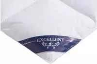 Excellent Daunenbettdecke "Wien, Bettdecken f&uuml;r Sommer und Winter, Decke"...