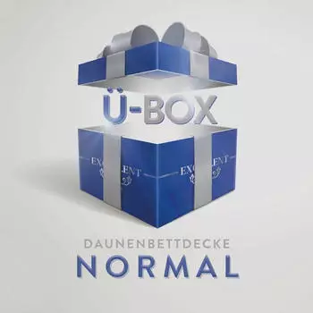 Excellent &Uuml;berraschungsbox normal 200x220cm