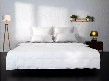 BEFA PrimaloftBio leicht 220x240cm