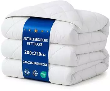 Amazinggirl Steppbettdecke Ganzjahres Mikrofaser 220x200cm (localization_B08T6DHTV6)