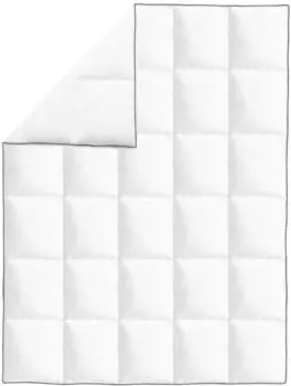 vidaXL Daunendecke Winter 140x200cm (132880)