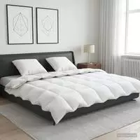 vidaXL G&auml;nsedaunen-Bettdecken-Set 90% FULDA 3 stk. 200 x 200 cm Winter