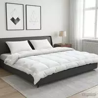 vidaXL Bettdecke und Kissen Set 3 stk. 200x220 cm Winter 450 GSM Wolle
