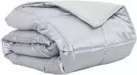 vidaXL Sommerdecke 220 x 260 cm 200 gsm Satin und Mikrofaser Silber