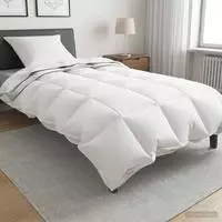 vidaXL Ganzjahres-Decken-Set 2 stk. 137 x 200 cm F&uuml;r alle Jahreszeiten