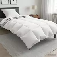 vidaXL Ganzjahres-Decken-Set 2 stk. 155 x 200 cm F&uuml;r alle Jahreszeiten