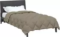 vidaXL Winterbettdecke 140 x 220 cm 450 gsm Mikrofaser Hellgrau