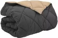 vidaXL Winterbettdecke 220 x 260 cm 450 gsm Mikrofaser