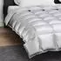 vidaXL Winterbettdecke 240 x 260 cm 450 g/m² Silber (42025871)