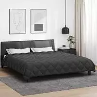 vidaXL Winterbettdecke 220 x 240 cm 450 gsm Mikrofaser Anthrazit