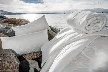 Centa-Star Royal Leicht 155x220 cm – Die Centa-Star Royal Leicht 155x220 cm: Ihre perfekte Sommerdecke