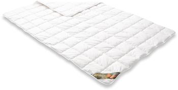 Irisette Baumwolle Steppbett leicht 155x220 cm