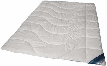 Walburga Sommersteppbett extra leicht 155x220 cm