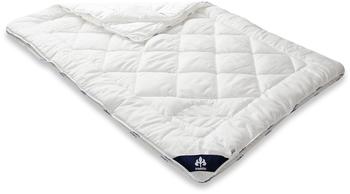 Irisette Vierjahreszeiten-Steppbett Tencel 200x200cm