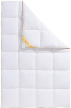 Balette Aileen warm