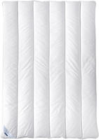 billerbeck Microfaserbettdecke "Liliane Superlight, Bettdecke in 135x200 cm, 155x220