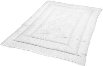 Schlafmond Dornr&ouml;schen Duo-Steppbett 135x200cm