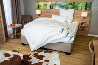 Beco Microfaserbettdecke Royal Soft "GOLD", Bettdecke 135x200 und weitere Gr&ouml;&szlig;en!,