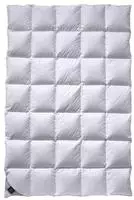 Billerbeck &raquo;306 Nena&laquo; Daunendecken Mono 200x200 cm 790g