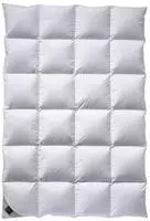 Billerbeck &raquo;306 Nena&laquo; Daunendecken Kassette 2 135x200 cm 744g
