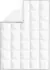 vidaXL Winter Daunendecke (155 x 220 cm) (2 Stk.)