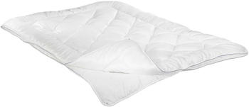 Irisette Vierjahreszeiten-Steppbett 155x220cm