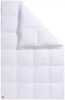billerbeck Daunenbettdecke "Eliana 90, Bettdecken f&uuml;r den Winter" extrawarm F&uuml;llung