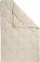 fan Naturfaserbettdecke "TENCEL&trade; Leinen" normal F&uuml;llung 50% Lyocell (TENCEL&trade;),