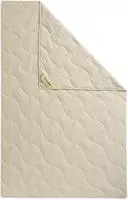 fan Naturfaserbettdecke "TENCEL&trade; Leinen" leicht F&uuml;llung 50% Lyocell (TENCEL&trade;),