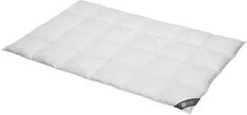 Spessarttraum Platin 155x220cm
