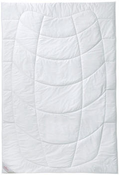 Kauffmann Kamelhaar Steppbett Mono 200x220cm (408877)