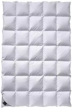 billerbeck Winter Daunendecke 312 Catalina Kassette II 135x200cm