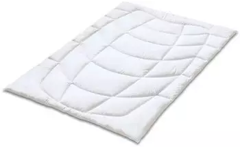 Kauffmann Steppbett Leicht Wildseide 135x200 cm – Entdecken Sie den Luxus des Kauffmann Steppbett Leicht Wildseide 135x200 cm