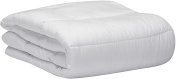 Pikolin Home Fibre Filled Duvet 150 g/m² (RF07) (180 x 220 cm)