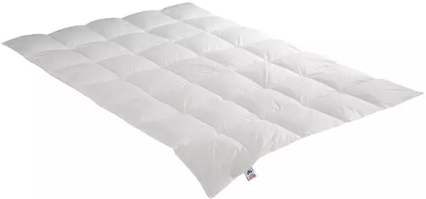 Irisette Daunensteppbett Nora medium Größe 155x220 cm