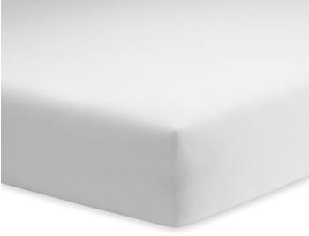 Schlafgut Basic (15001) Spannbetttuch 140x200-160x200cm weiß