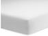 Schlafgut Basic (15001) Spannbetttuch 140x200-160x200cm