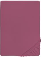 Biberna Spannbettlaken "THEA Baumwoll-Jersey mit Elasthan, 160 g/m&sup2;" Bettlaken...