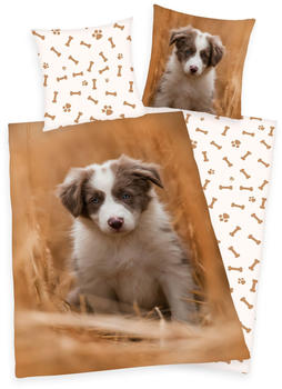 Herding 2 tlg. Bettwäsche Set mit Hund Welpe135x200 + 80x80cm