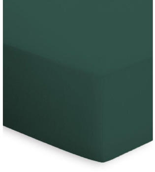 Bassetti Jersey-Elasthan Spannbettlaken verde 90-100 x 190-220 cm