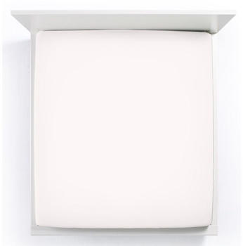 Bella Donna Jersey Spannbettlaken leinen 70x190-80x220 cm