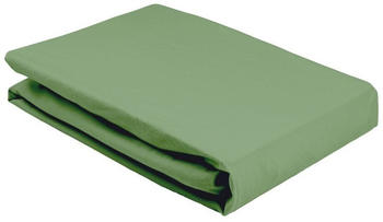 Elegante 8000 Softes Jersey Spannbettlaken olive 140-160x200 cm